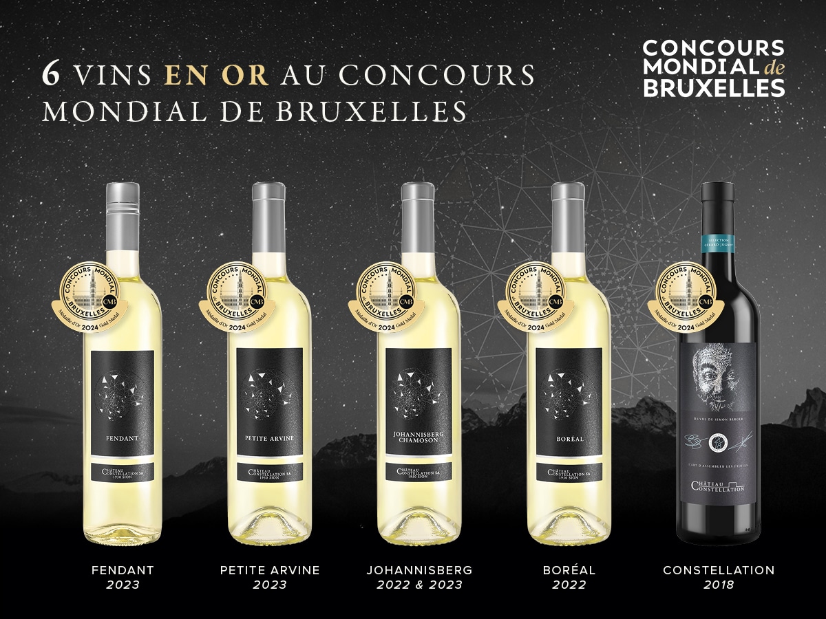 Château Constellation célèbre six médailles d’or au Concours Mondial de Bruxelles 2024.